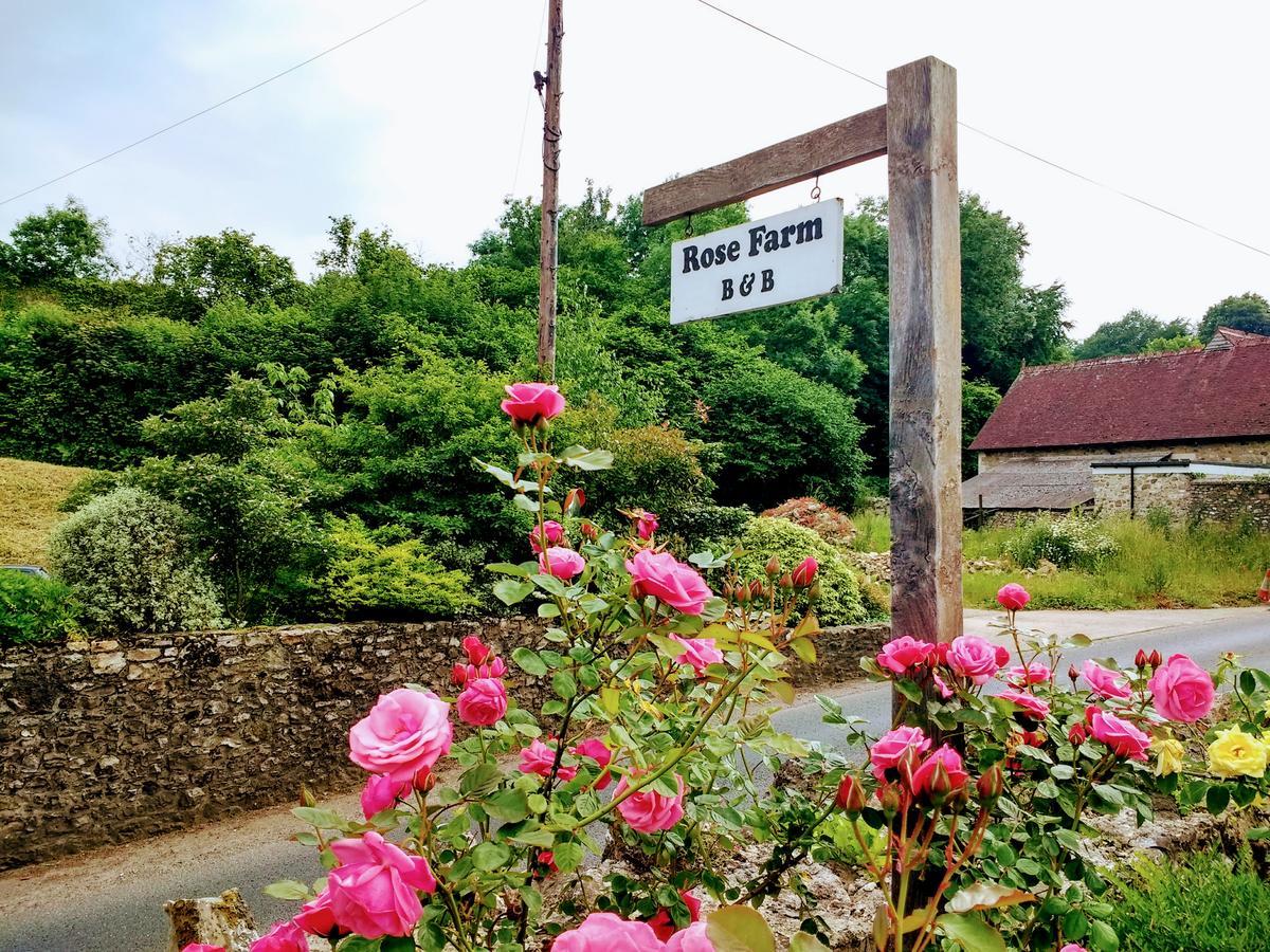 Rose Farm Acomodação com café da manhã Honiton Exterior foto